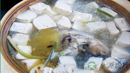 美味又健康的五种鱼头豆腐汤做法