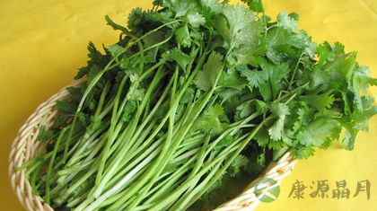 细数香菜的功效与作用