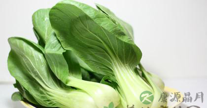 养生常识：感冒了吃什么