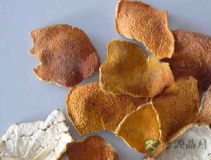 常见的减肥中药材