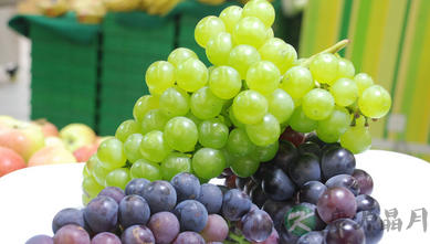 揭密怪味食物:苦瓜健肾补脾