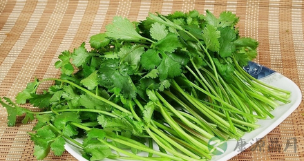 揭密怪味食物:苦瓜健肾补脾