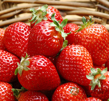 女性饮食养生常识 女性多吃草莓补充铁元素