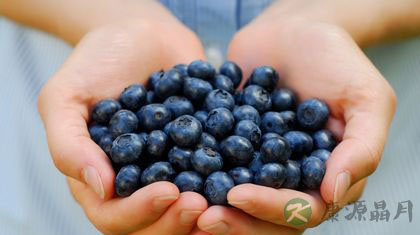 蓝莓个子小却有大功效
