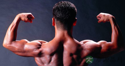 瘦子变型男有妙招