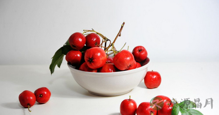 常见的减肥中药材