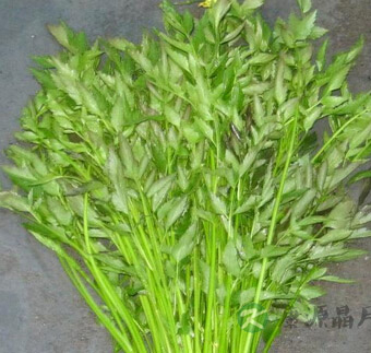 海带怎么做好吃 海带的3个健康美容食谱