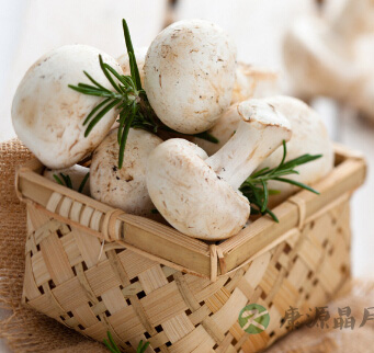 吃什么养胃 养胃的食物有哪些？