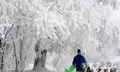 四气调神 养生防病