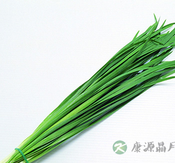 男女饮食健康 饮食男不离韭女不离藕