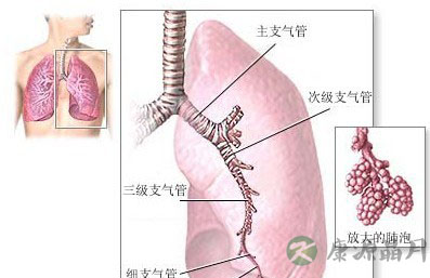 五脏之毒是什么？