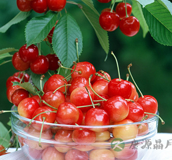 男性饮食健康 盘点男性离不开的8款健康食物