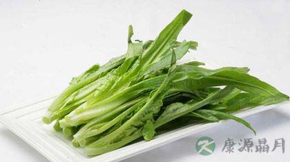 油麦菜的营养价值与功效