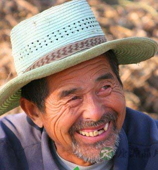 寻找长寿村的不老秘密