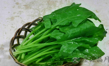 盘点癌症的免死食物