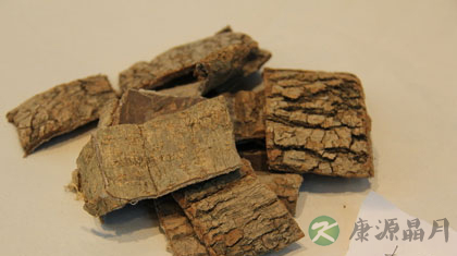 杜仲的作用与功效及食用方法