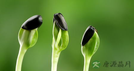 中医告诉你立夏养生六个注意事项