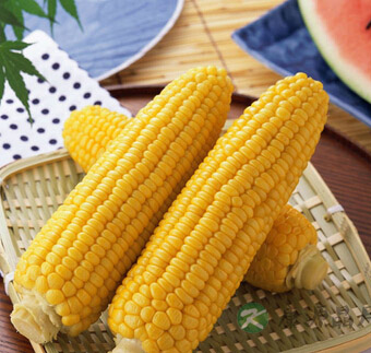 吃什么养胃 养胃的食物有哪些？