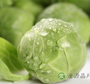 甘蓝的功效与作用 甘蓝可对抗四大疾病
