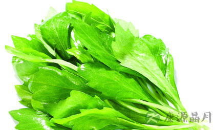 吃蔬菜也有误区障碍