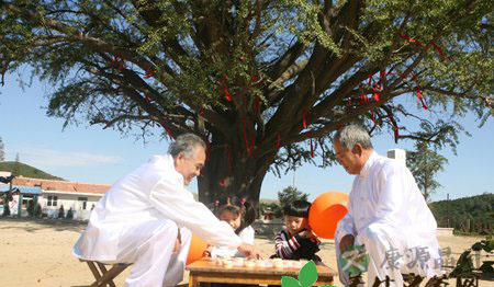 长寿老人七大养生秘籍 延年益寿少生病