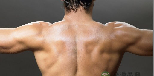 瘦子变型男有妙招