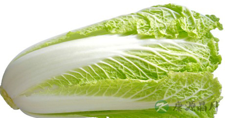 长寿要健康，颐养有妙招