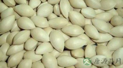 白果的功效及其作用