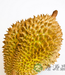 揭密怪味食物:苦瓜健肾补脾