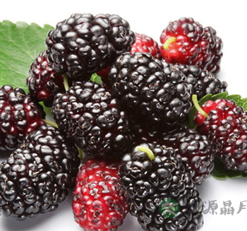 肝肾阴虚吃什么好？推荐8款养肝补肾食疗方