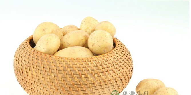 土豆放苹果旁不长芽