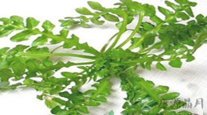 治疗高血压有哪些偏方