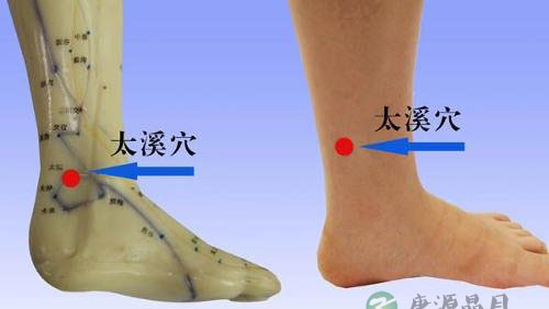 常揉太溪长记性 常揉太溪长记性