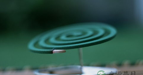 对付蚊叮虫咬有妙招