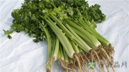 16个民间治疗雀斑的偏方