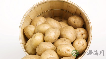 常见的治疗痔疮的偏方