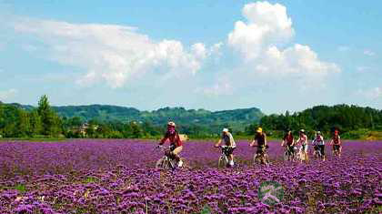 揭秘那些让人想不长寿都难的健康秘密