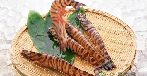 对付蚊叮虫咬有妙招