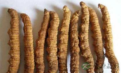 53个很牛的秘方 养生保健效果好