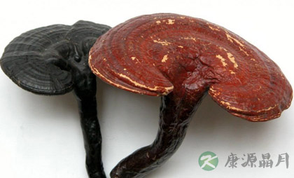 53个很牛的秘方 养生保健效果好