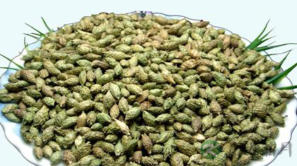 中医治皮肤瘙痒偏方大全