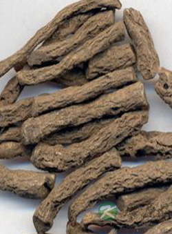 解读一名独茅——仙茅