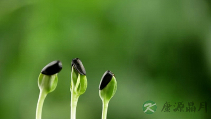 中医秘方防疾病