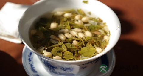 备孕喝什么茶好
