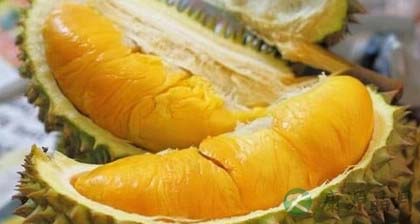 孕妇吃榴莲好不好