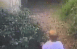 宝宝和萌宠同框 你先救谁？这是一道送分题