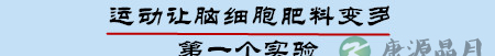 运动！让孩子高颜值高智商的秘诀