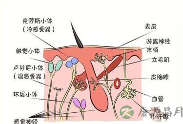 好闻不？好吃不？痛不痛？这些都是谁教宝的