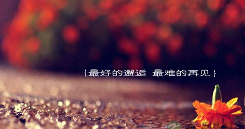 爱情值得等待吗 爱情值得等待吗