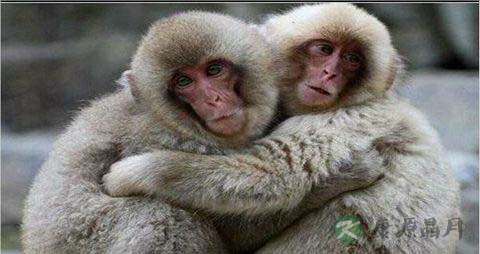 如何提高异性心动率_让异性心动必备技巧 如何提高异性心动率_让异性心动必备技巧